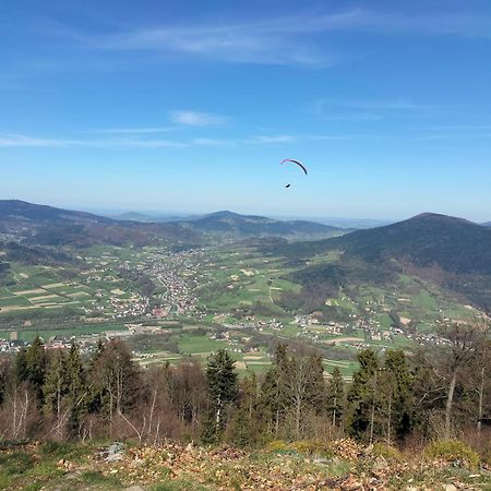 Parkowa Rezydencja Hubal Rabka Zewnętrze zdjęcie